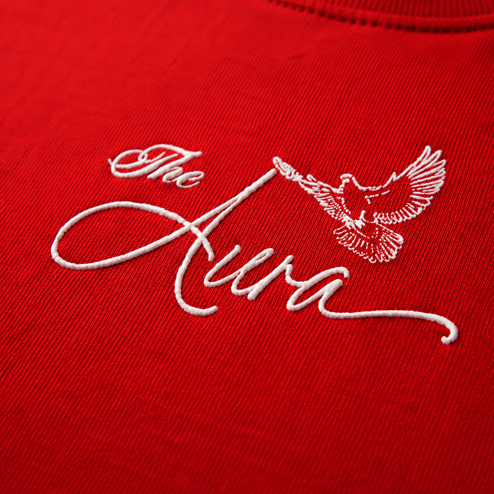 Ascension Oversized Puff Print T-Shirt by The Aura – product view 3